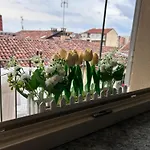 Bon Bon Luxury Di Piazza San Secondo Apartament *