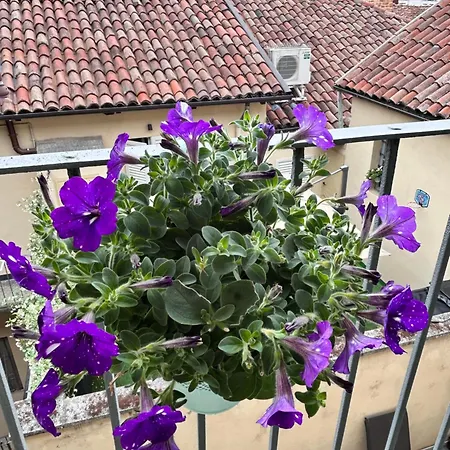 Bon Bon Luxury Di Piazza San Secondo * Asti