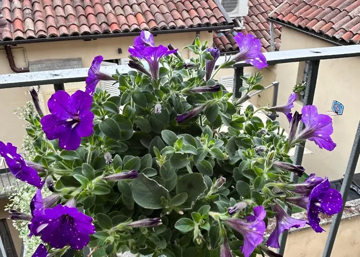 Bon Bon Luxury Di Piazza San Secondo * Asti